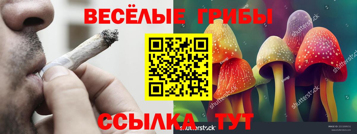 Сальск  Псилоцибиновые грибы мухоморы  цены   Галлюциногенные грибы GOLDEN TEACHER  Вход с VPN 